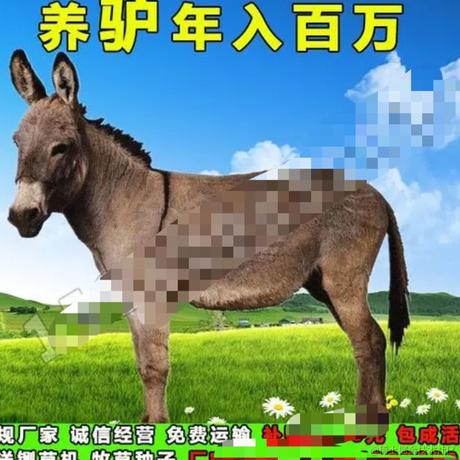 程序员阿瑞于2021-07-28 16:23发布的图片