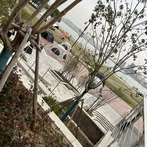 哇呀于2023-03-13 16:08发布的图片