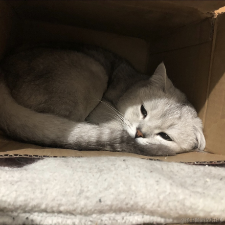 困了能睡觉吗于2023-05-20 23:37发布的图片