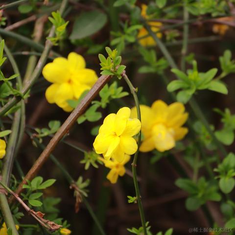 那我关月亮咯于2023-06-08 09:49发布的图片