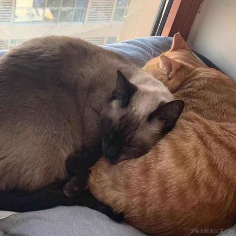 一只小橘猫于2020-12-10 15:41发布的图片