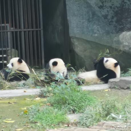 可爱小晚比于2022-11-27 23:49发布的图片