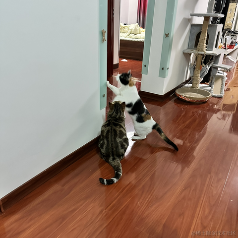 逃离月球表面于2023-05-13 21:49发布的图片