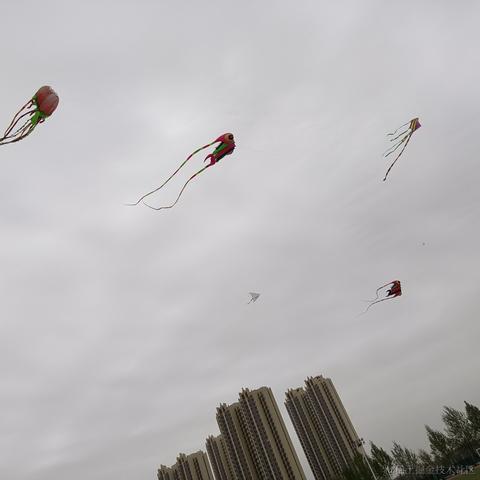 xzl_于2023-04-20 23:18发布的图片