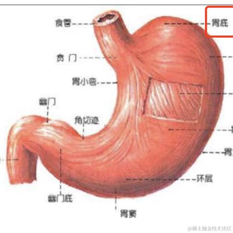 胡译胡说于2024-05-28 10:34发布的图片