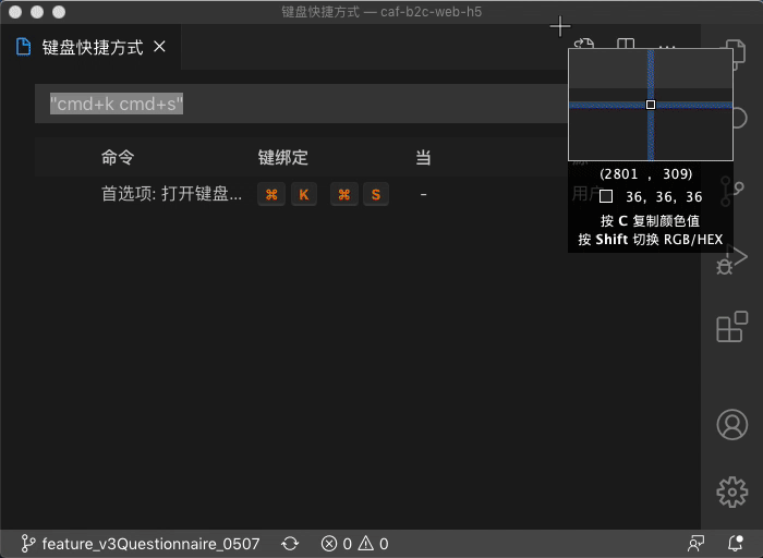 vscode json文件.gif