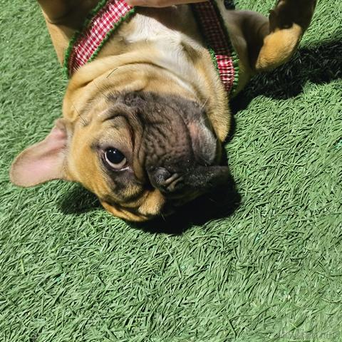 代码大师于2023-03-30 19:46发布的图片