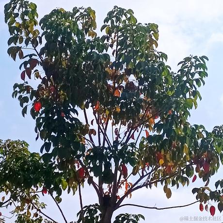 好饿好困于2022-11-20 11:09发布的图片