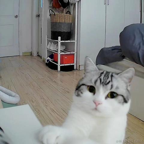 程序猿秃头之路于2022-01-07 23:54发布的图片