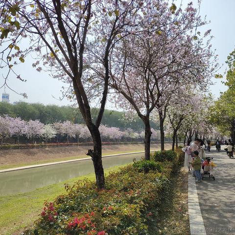 柒号华仔于2023-03-05 14:08发布的图片