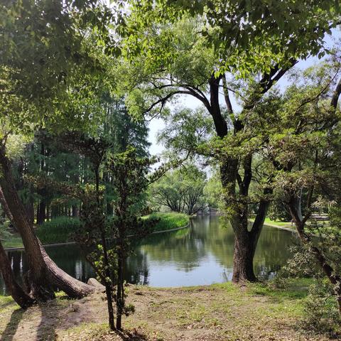 吃鱼徐于2023-06-04 18:33发布的图片