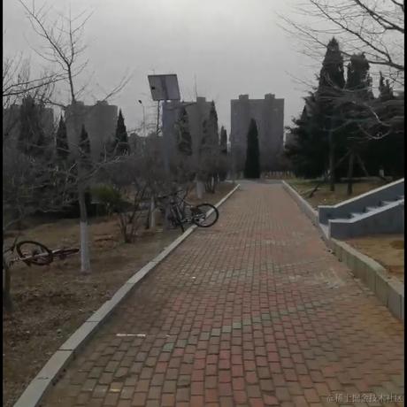 蒸虾头于2022-11-29 12:38发布的图片