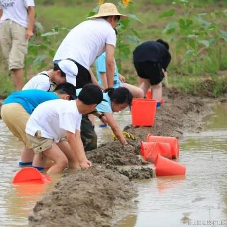 掘金干货君于2022-07-13 09:57发布的图片