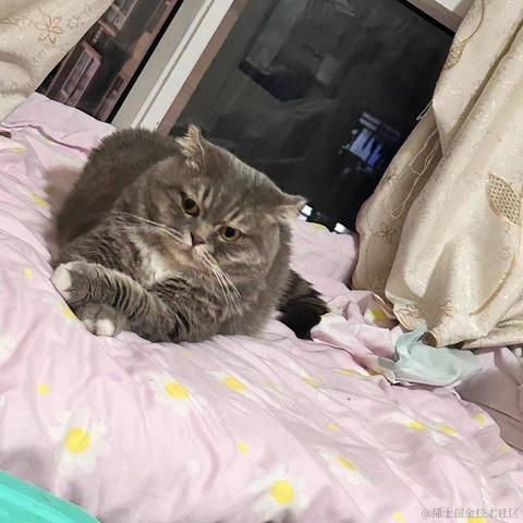 Rmmmm于2023-05-30 09:13发布的图片