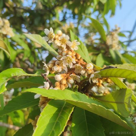 乃宝可爱捏于2022-11-23 10:54发布的图片