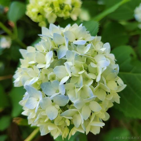 Sarah_于2024-05-17 10:12发布的图片