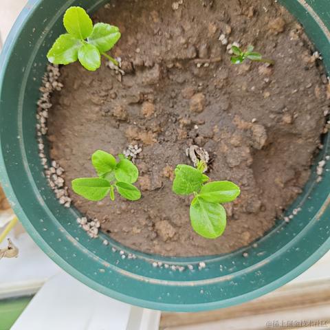 跑来跑去可没有打人爽于2023-09-27 13:27发布的图片