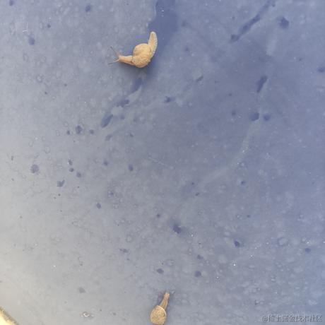 黎狱云烟于2022-11-19 13:31发布的图片