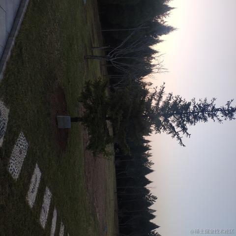 YummyGn于2022-11-19 22:05发布的图片