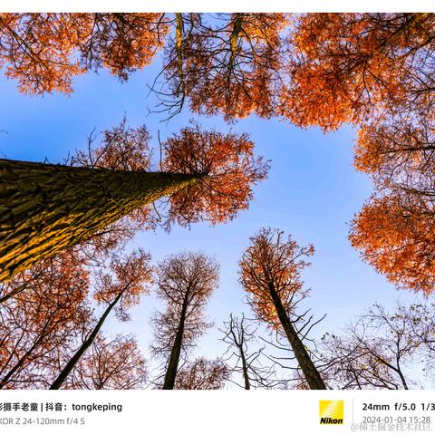 光影童于2024-01-11 11:10发布的图片