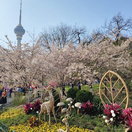 小天才617于2023-03-31 15:24发布的图片