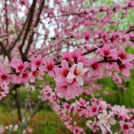 铸币小向晚于2023-06-30 07:08发布的图片