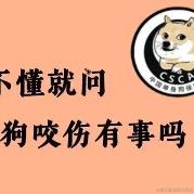叶秋主于2021-09-29 09:08发布的图片