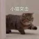 婉婉啊于2022-04-17 09:20发布的图片