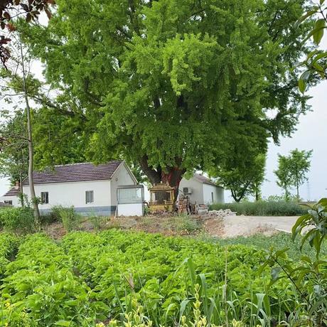 小small于2023-05-19 08:46发布的图片