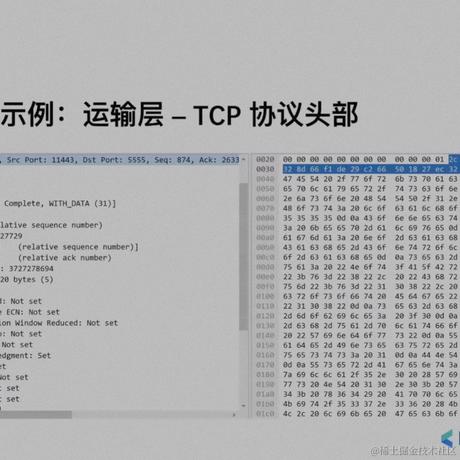 薄荷味的玛格丽特于2023-04-14 22:06发布的图片