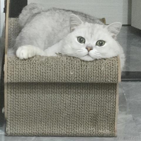 叨叨呀于2022-06-16 09:46发布的图片