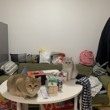 小蝴蝶于2021-12-26 22:31发布的图片