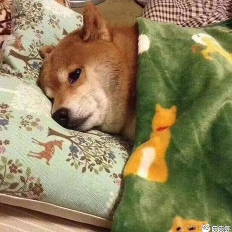 自律先生于2020-10-27 23:32发布的图片