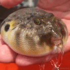 菁芜于2020-09-26 16:04发布的图片