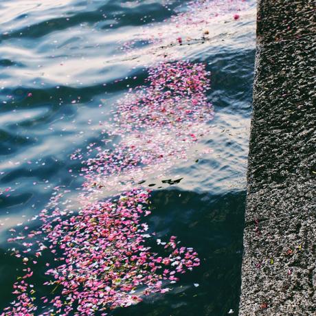 劫持流星计划于2023-04-25 09:05发布的图片