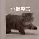 迂回418于2022-12-23 11:16发布的图片