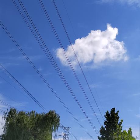 威威舍长于2023-09-01 14:22发布的图片