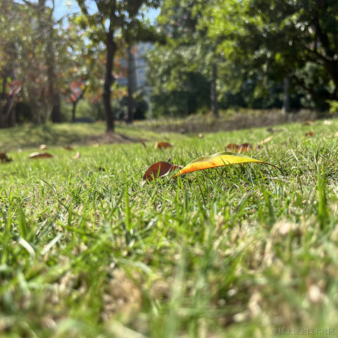 神奇的程序员于2021-11-24 12:47发布的图片