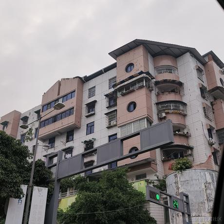 奶油面包拳于2022-11-25 08:43发布的图片