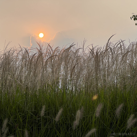 研究员于2023-09-16 18:31发布的图片