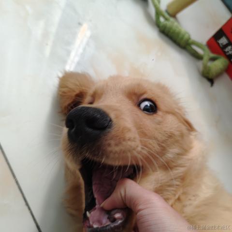 LGX_TvT于2023-01-13 12:27发布的图片