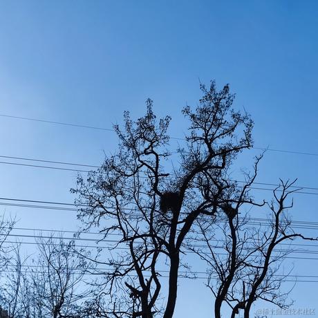 打刀客于2022-12-06 11:39发布的图片