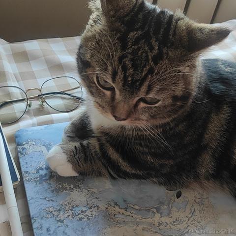 景景景景景色分明于2021-06-11 20:00发布的图片