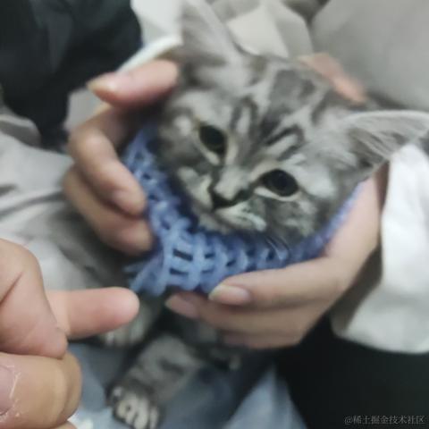 向晚睡粉唯一指定受害人于2022-12-13 14:54发布的图片