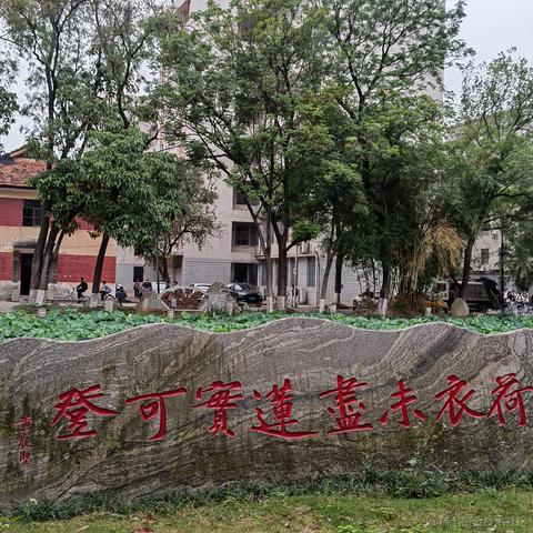 接受再见于2023-05-10 09:52发布的图片