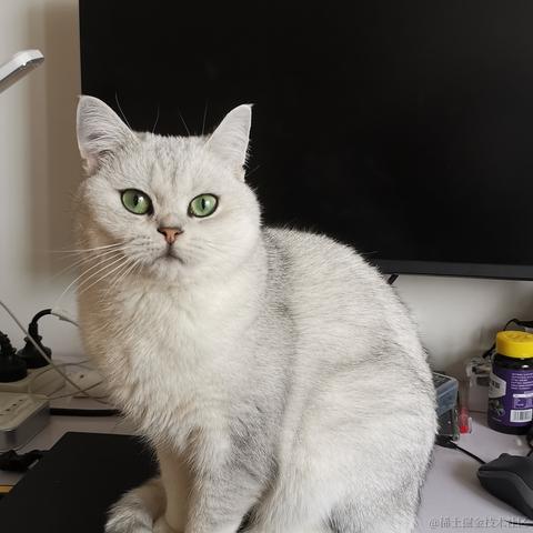 一光光一于2022-11-30 01:09发布的图片