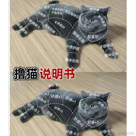 码代码的榴莲同学于2022-10-20 16:53发布的图片