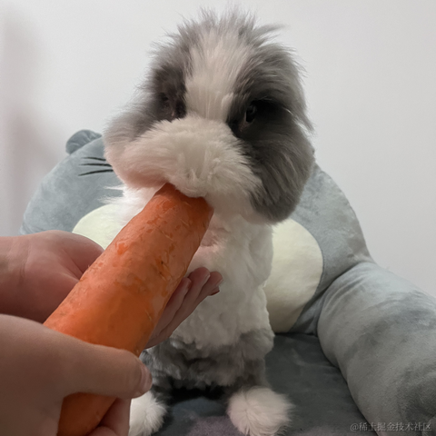 陇锦于2022-02-26 23:09发布的图片