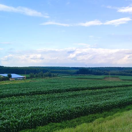 范静宇于2022-11-09 13:16发布的图片