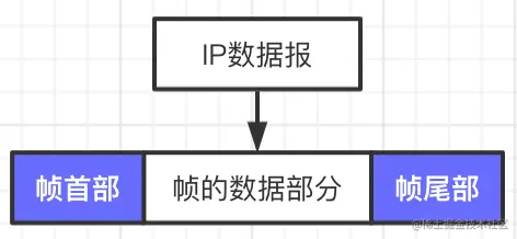 帧格式.png